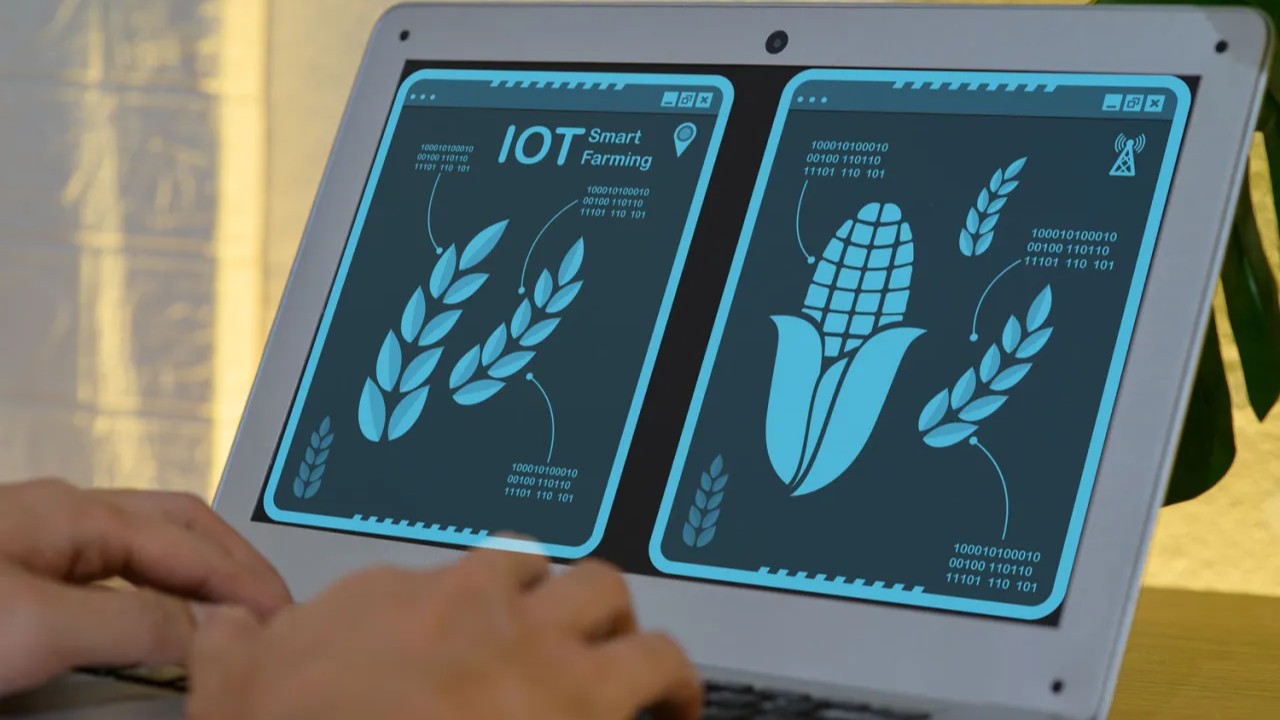 WUR leads European project on AI that better understands agricultural systems.jpg